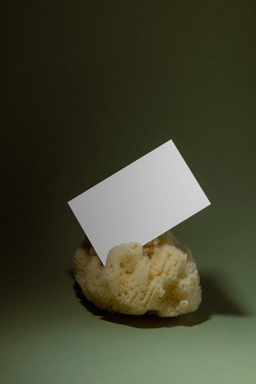 Business Card Mockup 029