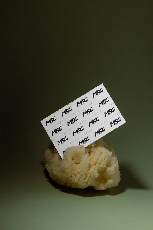 Business Card Mockup 029